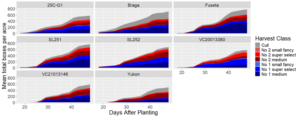 ulti-panel line and stacked area chart showing mean total boxes per acre of vegetables by harvest class over days after planting. Different cultivars (25C-G1, Braga, Fuseta, SL251, SL252, VC20013380, VC21013146, Yukon) are compared, with harvest categories like cull, small fancy, super select, and medium.